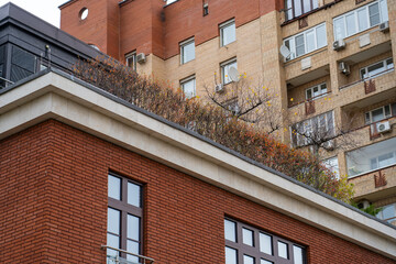 Naklejka premium Rooftop garden thrives on top of a brick building, showcasing vibrant plants against a backdrop of taller, modern apartment structures