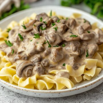 Beef Stroganoff with parsley and creamy sauce over egg noodles