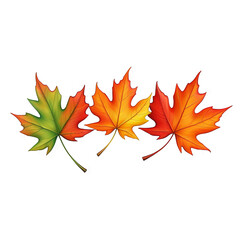 Fototapeta premium Realistic Red Maple Leaves Illustration