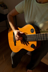 Obraz premium A woman playing a guitar in a warmly lit room. The sunlight casts soft shadows, creating a tranquil atmosphere for her musical expression.