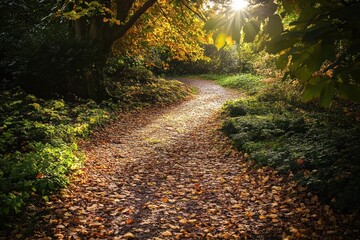 Autumn Sunlight Illuminates a Leaf Strewn Path Through Woods