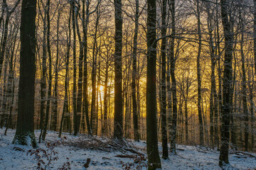 Winter landscape in the Taunus mountains, lightly covered in snow, in the evening