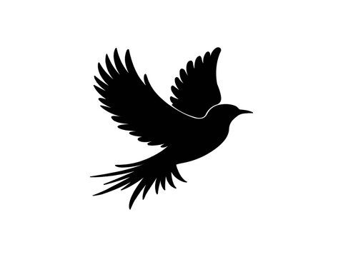 recommend clip art: Black silhouette of a bird flying with wings spread.