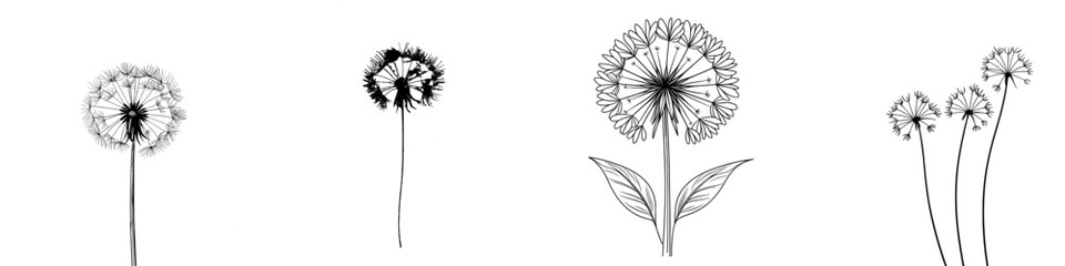 Fototapeta premium Unbroken single-line black outline design of a dandelion abstraction.