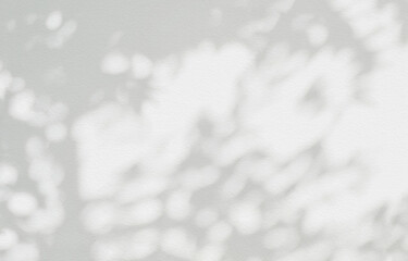 Tree shadow and leaf branch background. Nature leaves tropical jungle tree branch dark shadow and...