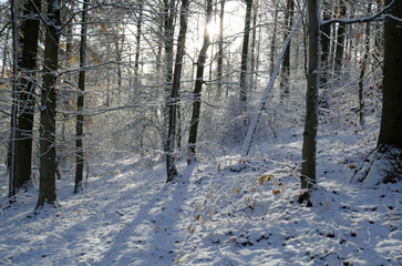 Wintereinbruch im November