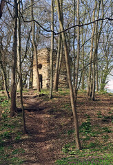 der Hexenturm, eine Ruine im Wald 