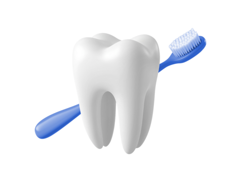 Tooth with toothbrush isolated on transparent or white background, png