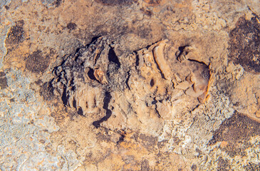 The Majestic Djebel Ousselat. A Limestone Mountain in the Tunisian Dorsal Range