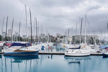 Obraz premium Scenic marina with sailboats and city skyline.