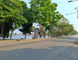 Road and Greenery at Concordia Park, Entrance of Flores Island, Peten, Guatemala