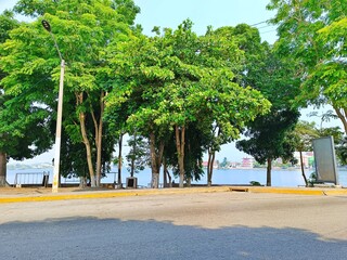View of road with trees and lake in Concordia park near Flores Peten island, Guatemala
