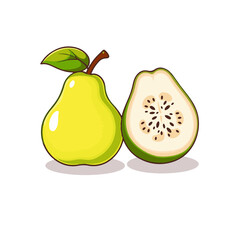 Guave Vector illustration fruit Guave