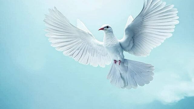 White dove flies gracefully in a peaceful blue sky, symbolizing hope and peace.International Day of Peace. Banner. Copy space