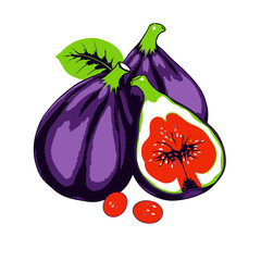 Fig Vector illustration healthy fig fruit