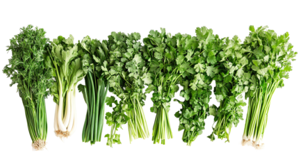 Harvesting fresh herbs and vegetables in urban gardens cityscape photography naturally isolated viewpoint for urban foodies