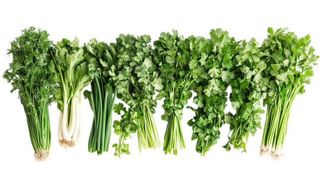 Harvesting fresh herbs and vegetables in urban gardens cityscape photography naturally isolated viewpoint for urban foodies