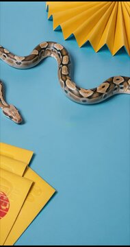 Simple Chinese New Year greeting card with a snake theme in 2025, with simple animation on a blue background