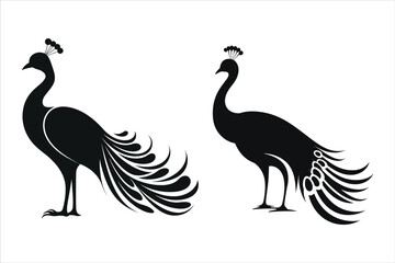 Fototapeta premium Peacock Silhouette Bundle Set, Animal Peacock Silhouette