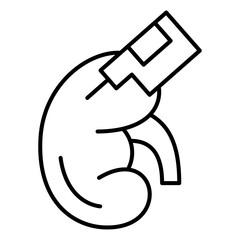 Kidney Disaese icon