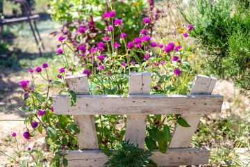 Burning charcoal in a barbecue. Fuel for cooking food at a campsite on vacation