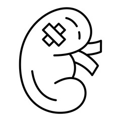 Kidney Disaese icon