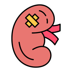 Kidney Disaese icon