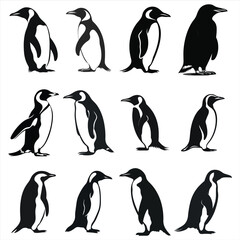 Obraz premium Penguin Silhouette Bundle Set 