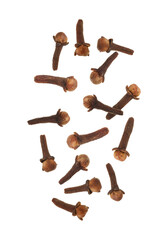 Clove buds in air on white background. Aromatic spice