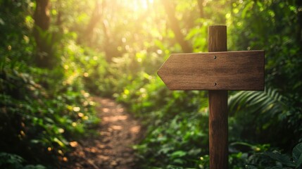 Rustic Wooden Signpost in Lush Green Forest Path with Soft Sunlight Filtering Through Trees Creating a Tranquil Outdoor Scene for Nature Lovers