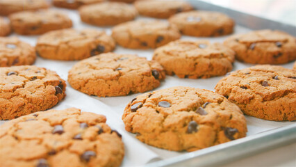 Close Up Of Display Of Freshly Baked Choc Chip Cookies In Coffee Shop