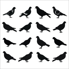 Pigeon Silhouette Bundle Set, Double Pigeon Silhouette