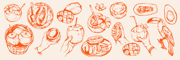 Tropical coconut cocktail set, vector exotic fruit plate summer vacation hand drawn ink illustration. Fresh papaya, mango, avocado print, aloha Hawaii bar menu design object. Tropical coconut clipart © Oleksandra
