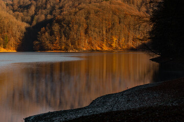 Late autumn sunset light at the lake in Firiza, Romania