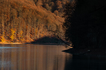 Late autumn sunset light at the lake in Firiza, Romania