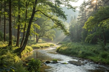 Obraz premium A tranquil forest scene with a meandering stream running through it illuminated by sunlight filtering through the trees, tree canopies, sunlight, streams, serene landscapes, forests
