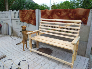A dog standing next to a wooden bench on a patio