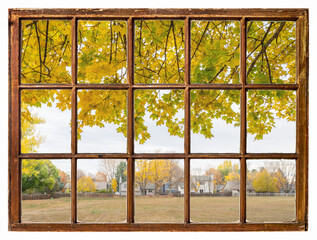 nostalgic fall landscape in residential area with a maple tree as seen from a vintage sash window