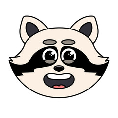 Raccoon 