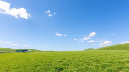 Fototapeta premium A serene green grass lawn surrounded by rolling hills and a few scattered clouds drifting lazily across the clear blue sky above it, serene environment, green lawn