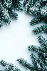 Obraz premium Isolated snowy evergreen branch with delicate frost, placed againstpure white background forminimalist aesthetic,copyspace