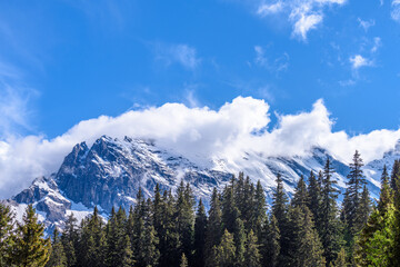 The Swiss Alps at Murren, Switzerland. Jungfrau Region. The valley of Lauterbrunnen from Interlaken.