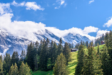 View of beautiful landscape in the Alps with fresh green meadows and snow-capped mountain tops in the background on a sunny day with blue sky and clouds in springtime.