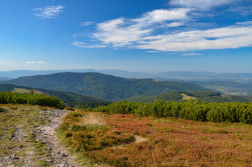 Fototapeta premium Multi-coloured panorama in the Beskid Mountains on the way to Barania Góra