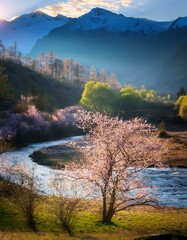 From Frost to Flowers: Welcoming the Start of Spring
