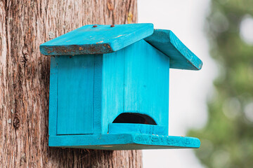 Bright blue birdhouse hanging on a tree trunk in a garden