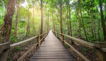 Obraz premium 푸른 숲속을 따라 이어진 나무데크 산책로