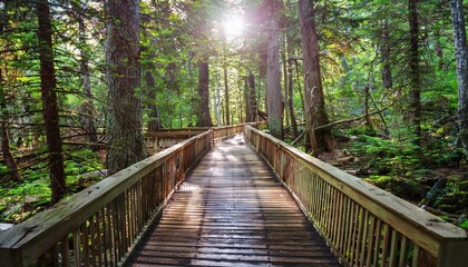 Obraz premium 푸른 숲속을 따라 이어진 나무데크 산책로