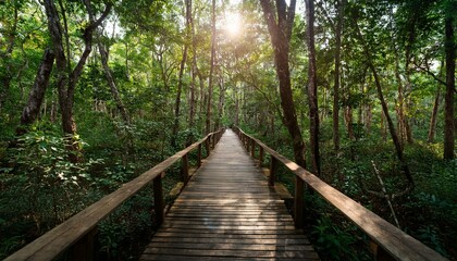 푸른 숲속을 따라 이어진 나무데크 산책로