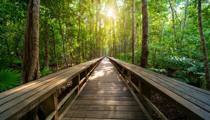 Fototapeta premium 푸른 숲속을 따라 이어진 나무데크 산책로